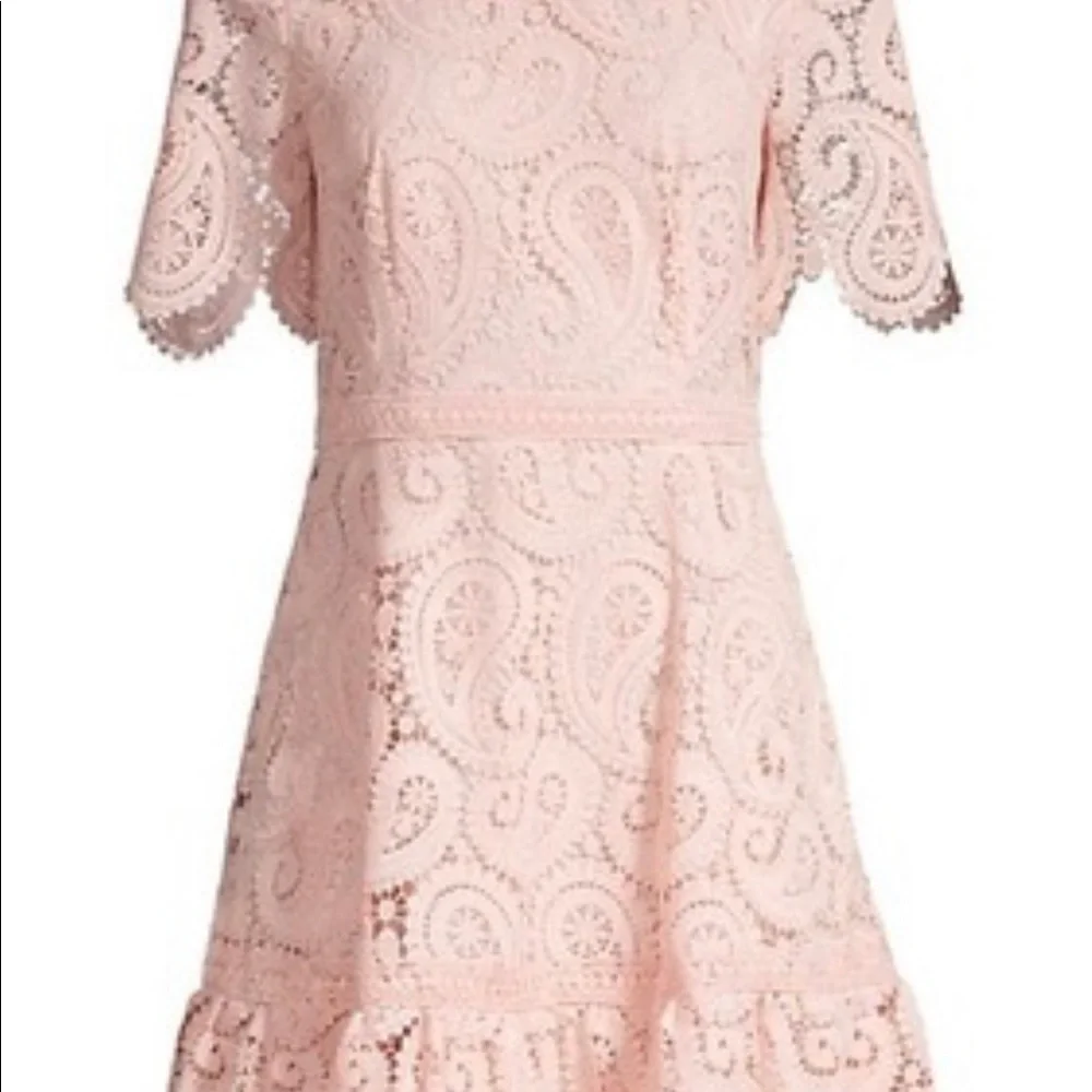 Shoshanna Kiera Lace Fit & Flare Dress - Picture 5 of 15